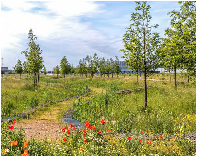 afbeelding binnen de regeling